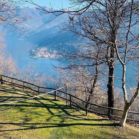 Il Riccio Appartamento チェルノッビオ エクステリア 写真