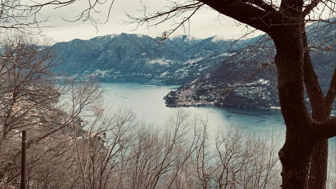 Il Riccio Appartamento チェルノッビオ エクステリア 写真